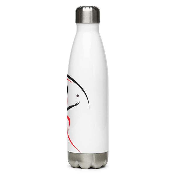 Stainless steel water bottle